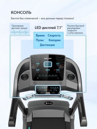 Беговая дорожка Wallaby TX500