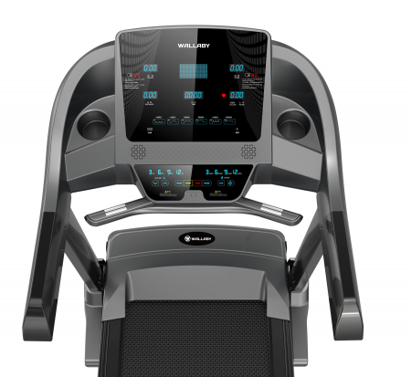 Беговая дорожка Wallaby TX500
