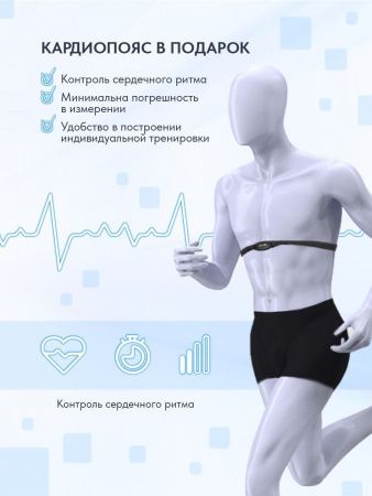 Беговая дорожка Wallaby TX500