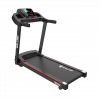 Беговая дорожка Wallaby TM300